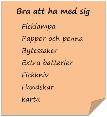Bra att ha med sig. Ficklampa, papper och penna, bytessaker, extra batterier, fickkniv,handskar, karta.